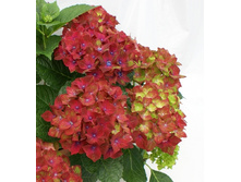 120���. ��������� �������������� ����� ���������.jpg