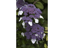 120���. ��������� �������� ����������.jpg