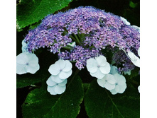 120���. ��������� �������� ��������.jpg