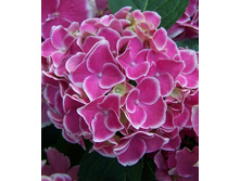 135���. ��������� �������������� ������.jpg