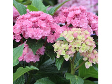 135���. ��������� �������������� ������.jpg