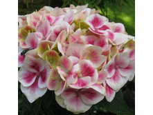 150���. ��������� �������������� �������.jpg