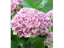 160���. ��������� �������������� ����������.jpg