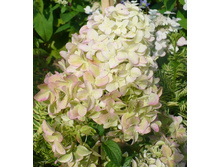 170���. ��������� ����������� ����������.jpg