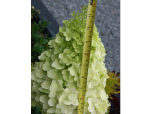 176���. ��������� ����������� �������� �������.jpg