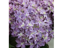 235���. ��������� �������������� �������.jpg