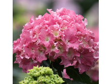 235���. ��������� �������������� �����.jpg