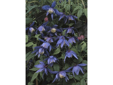 125���. �������� ������.jpg