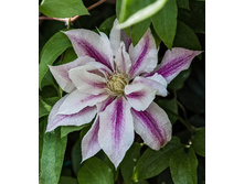 142���. �������� ���������.jpg