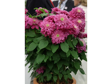 182���. �������� ������.jpg