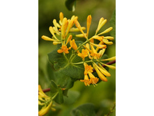 120���. ��������� ������ ������ �������.jpg