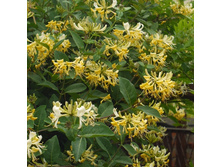 120���. ��������� �������� ������ �����.jpg