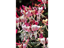 120���. ��������� �������� ������ �������� �����.jpg