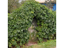 120���. ������� �������� �������̣����.jpg