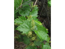 150���. �������� ��������� �����.jpg