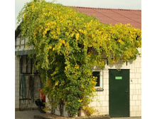 132���. ���������� ������������� �����.jpg