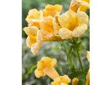 142���. ������� ������������� �����.jpg