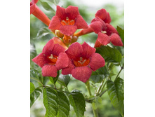 142���. ������� ������������� ��������.jpg