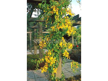 132���. ���������� ������������� ��������.jpg