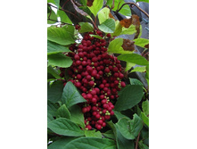 165���. �������� ��������� ���������.jpg