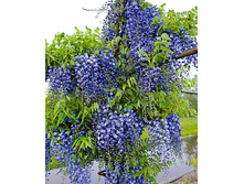 170���. �������� ��������������� ���� ������.jpg