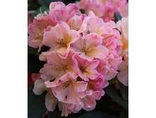 194���. ����������� ������������ ����� �������.jpg