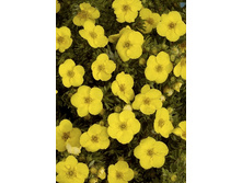 87���. �������� ������������� �������.jpg