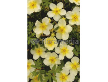 87���. �������� ������������� ��������.jpg