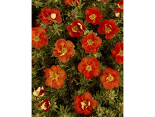 87���. �������� ������������� ��� ���.jpg