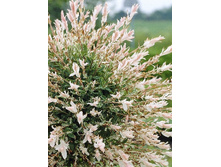 90���. ��� ������������� ������ ������.jpg