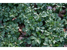 90���. ���������� ����������� ���� ������.jpg