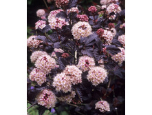 90���. ������������� ������������� ��� �����.jpg