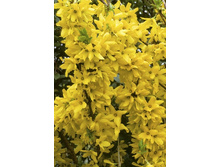 95���. �������� ������������� ������� �������.jpg