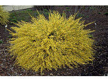 100���. �������� ������.jpg