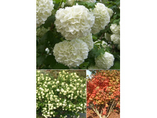 105���. ������ ������������ ������.jpg