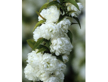 132���. ����� ���������� ����� �����.jpg