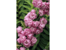 132���. ����� ���������� ����� �����.jpg