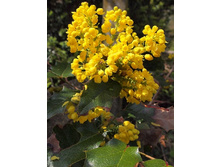 135���. ������� ������������� ������.jpg