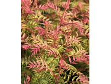 137���. �������� ���.jpg