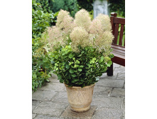 250���. ������� ���������� ��� ����.jpg