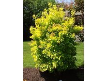 265���. ������� ���������� ������ ������.jpg