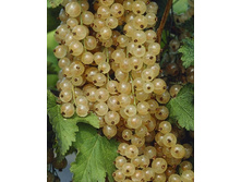 110���. ��������� ����� �������.jpg