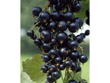 110���. ��������� ޣ���� �����.jpg