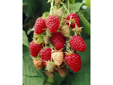 120���. ������ ����������.jpg