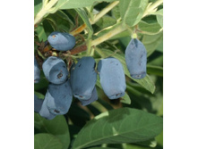 125���. ��������� ���������� ����������.jpg