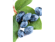 125���. ��������� ���������� �������.jpg