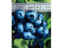 130���. �������� �������.jpg