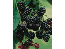 130���. ������� ��������� ��� ����.jpg