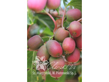 150���. ��������� ������ ��������� (������� ���).jpg