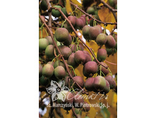 150���. ��������� ������ ����� (������� ���).jpg